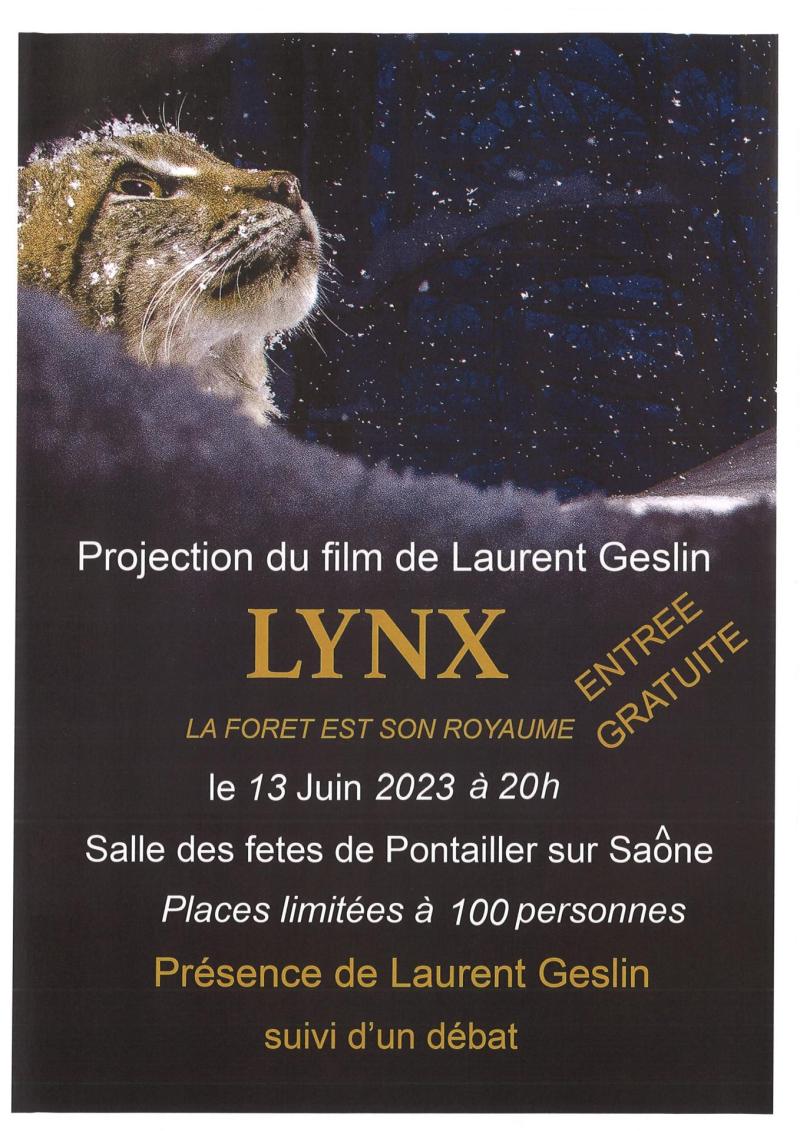 affiche lynx