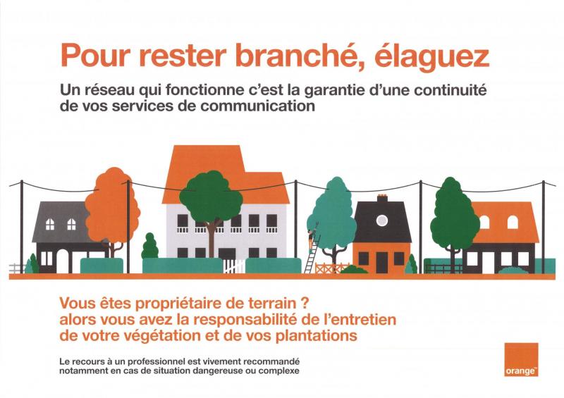 maisons et fils électriques dans les arbres